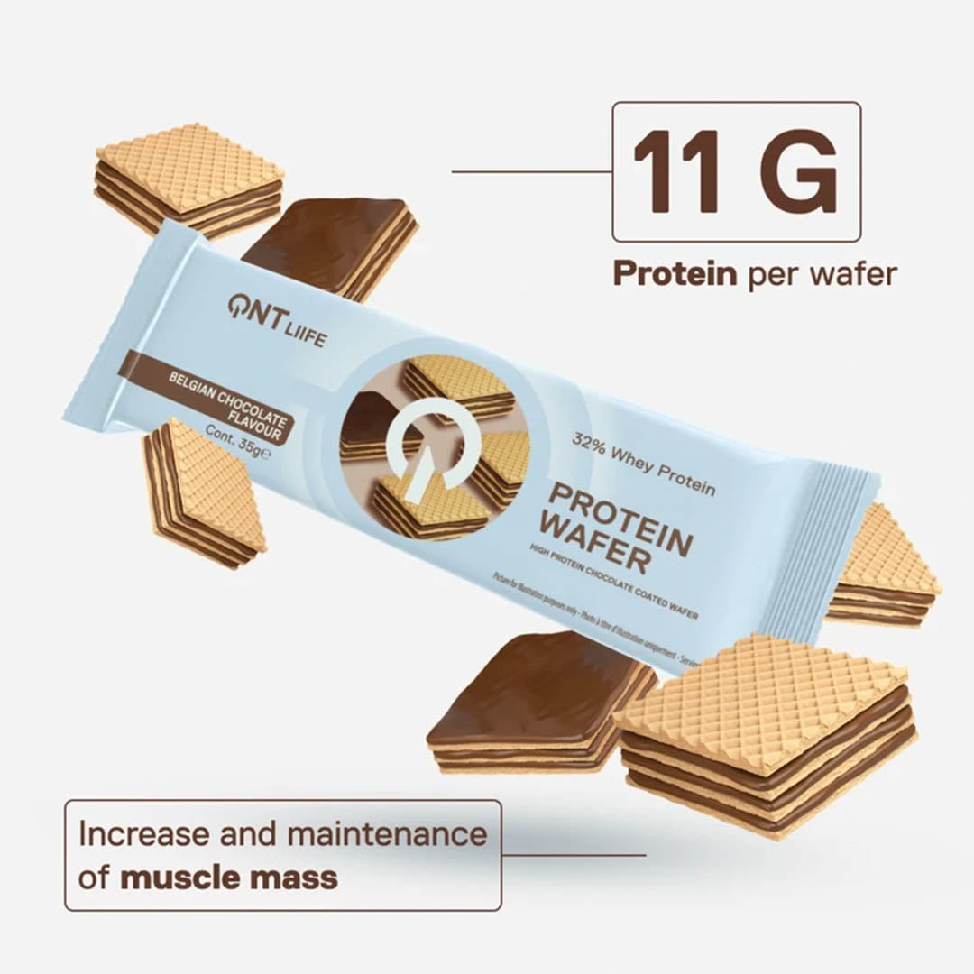 QNT Protein Wafer